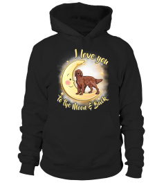 Irish Setter