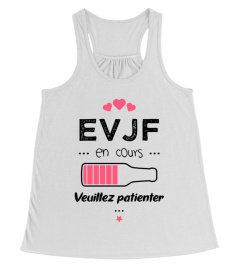 EVJF en cours veuillez patienter