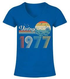Vintage 1977 Design 43 Years Old 43Rd Birthday For Men Women Sweatshirt