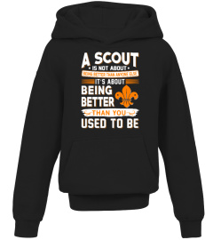 A Scout Is Not About