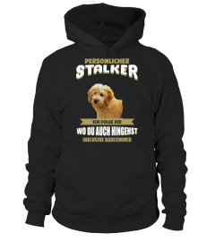 Limitierte Edition Goldendoodle