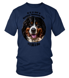 Freunde des Berner Sennenhundes