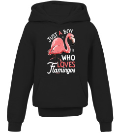 Just A Boy Who Loves Flamingos T shirt Pink Flamingo Lovers