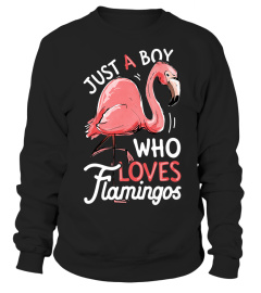 Just A Boy Who Loves Flamingos T shirt Pink Flamingo Lovers