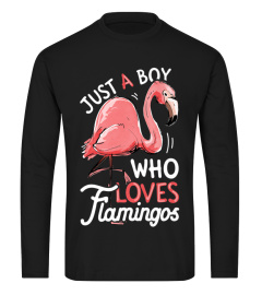 Just A Boy Who Loves Flamingos T shirt Pink Flamingo Lovers