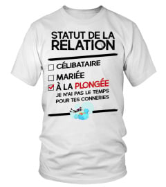 PLONGÉE - STATUT DE LA RELATION - 1