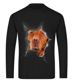 Vizsla 3D