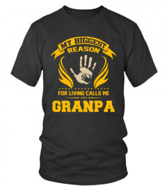 Grandpa T shirts Biggest Reason For Living Call Me Hoodies Sweatshirts TH