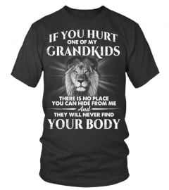 IF YOU HURT MY GRANDKIDS