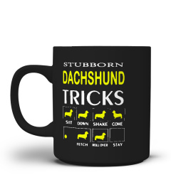 Dachshund Tshirt