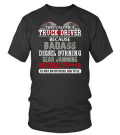 TRUCK DRIVER