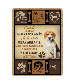 Beagle Manta Personalizada