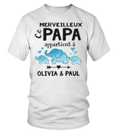 Ce merveilleux Papa appartient à