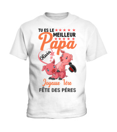 TU ES LA MEILLEURE PAPA