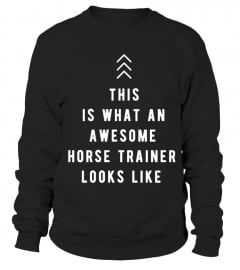 AWESOME HORSE TRAINER
