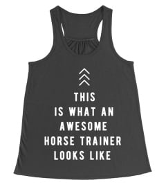 AWESOME HORSE TRAINER