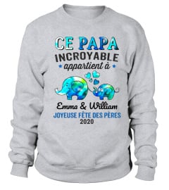 CE PAPA INCROYABLE APPARTIENT A