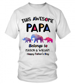 This Awesome Papa