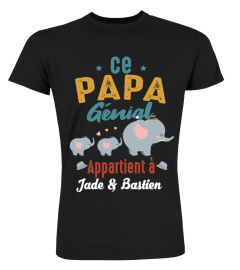 Ce Papa Genial Appartient à