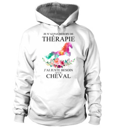 CHEVAL - THÉRAPIE - 13