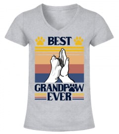 Dachshund Dad T-Shirt, Best Dachshund Grandpaw Ever, Dachshund Lover, Dog Lover, Dachshund Grandpa, Dog Dad, High Five Gift, Fathers Day 