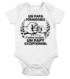 un Papa formidable