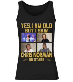 I SAW CHRIS NORMAN ON STAGE