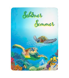 Schildkröte Sommer GER