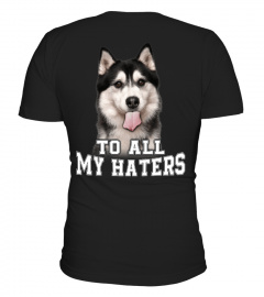 HUSKY - TO ALL MY HATERS