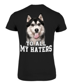 HUSKY - TO ALL MY HATERS