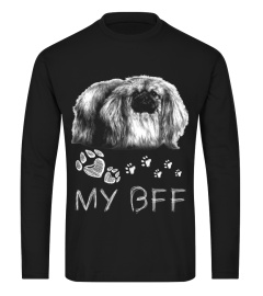 Pekingese BFF