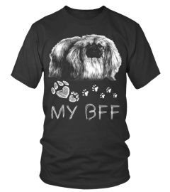 Pekingese BFF