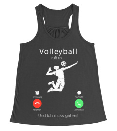 VOLLEYBALL - BERUFUNG - 10