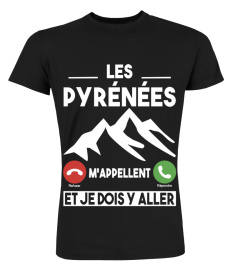 Les Pyrénées m'appellent...