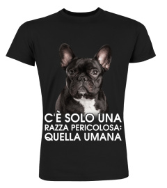 Bulldog francese - QUELLA UMANA