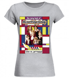 The Partridge Family 19