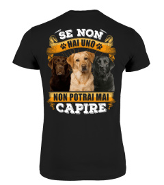 Labrador Retrievers - SE NON HAI UNO