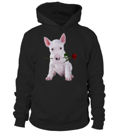 Bull Terrier