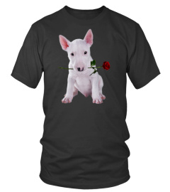 Bull Terrier