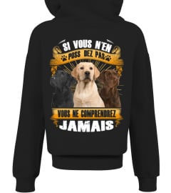 RETRIEVER DU LABRADOR - SI VOUS N'EN POSSÉDEZ PAS