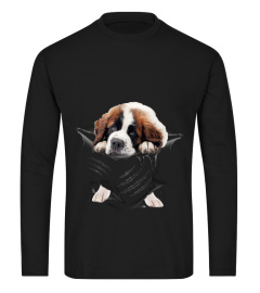 Saint Bernard Scratch New 1