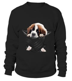 Saint Bernard Scratch New 1