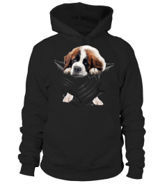 Saint Bernard Scratch New 1