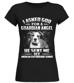American Staffordshire Terrier Guardian