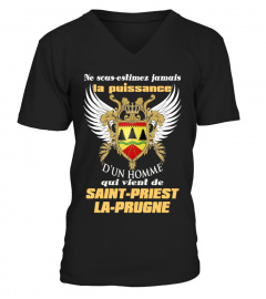 Saint-Priest-la-Prugne
