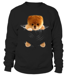 Pomeranian Scratch New