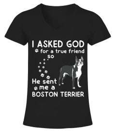 I Asked God for a true friend Boston Terrier T-shirt