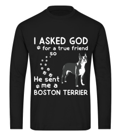 I Asked God for a true friend Boston Terrier T-shirt