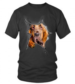 Bloodhound 3D