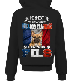 BULLDOG FRANÇAIS 02 - C'EST MON FILS